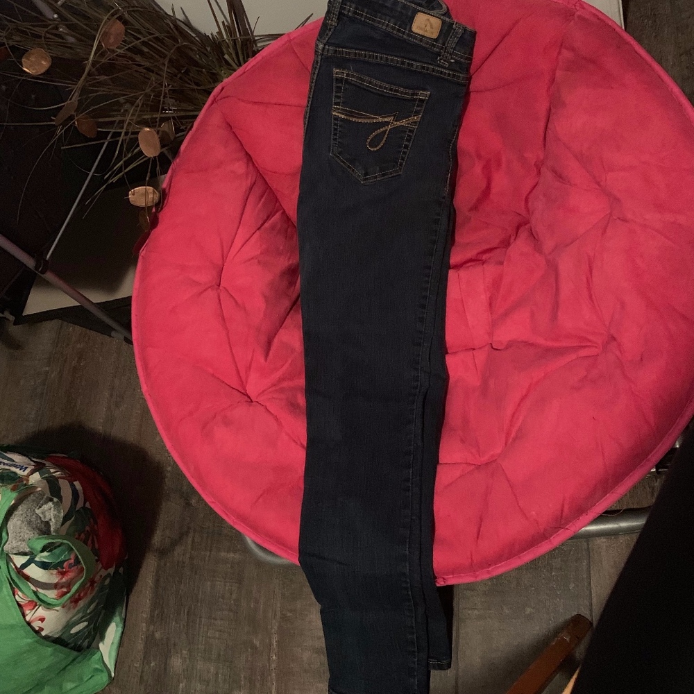 Jordache Skinny Jean